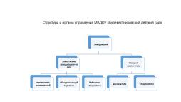 Информация об органах управления и структурных подразделениях